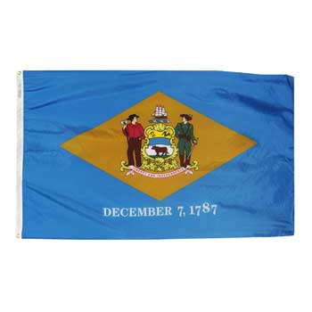 Delaware Flag - No Fringe