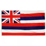 Hawaii Flag - No Fringe