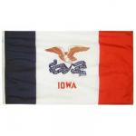 Iowa Flag - No Fringe