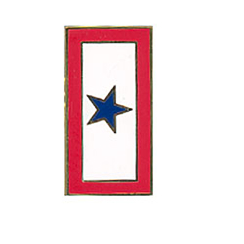 Service Lapel Pin