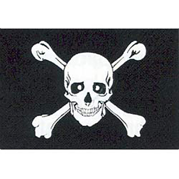 Jolly Roger Motorcycle Flag