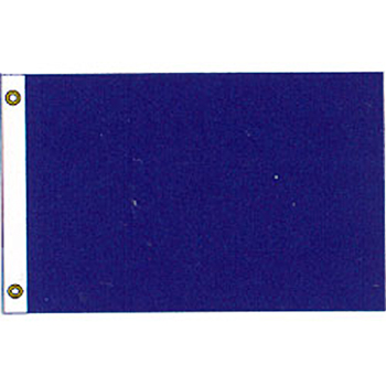 Absent Flag