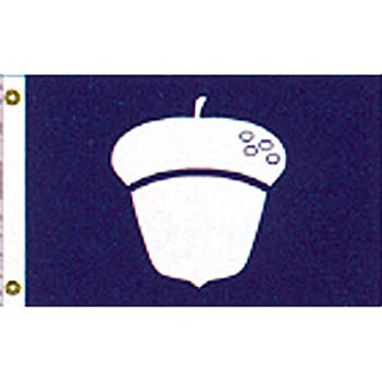 Treasurer Flag