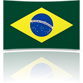 Brazil 8 x 12 Mini Flag