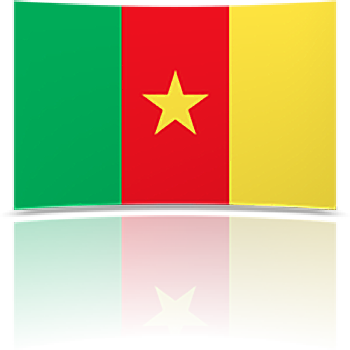 Cameroon 4 x 6 Mini Flag