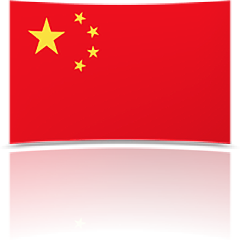 China 8 x 12 Mini Flag