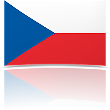 Czech Republic 8 x 12 Mini Flag