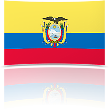 Ecuador 8 x 12 Mini Flag