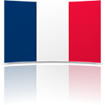 France 8 x 12 Mini Flag