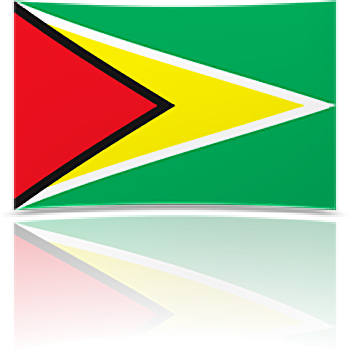 Guyana 8 x 12 Mini Flag