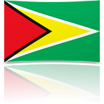 Guyana 8 x 12 Mini Flag
