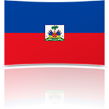 Haiti 8 x 12 Mini Flag
