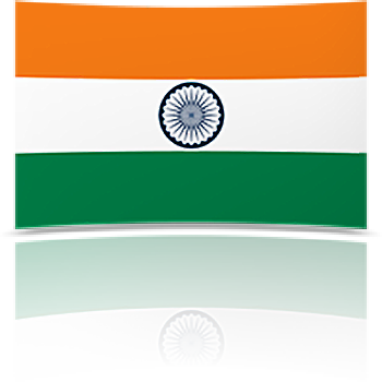 India 8 x 12 Mini Flag