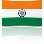 India 8 x 12 Mini Flag