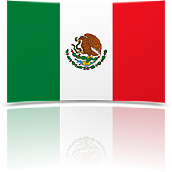 Mexico 8 x 12 Mini Flag
