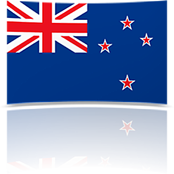 New Zealand 8 x 12 Mini Flag