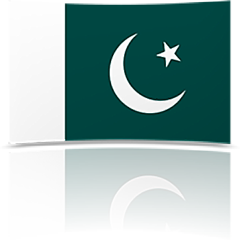 Pakistan 8 x 12 Mini Flag