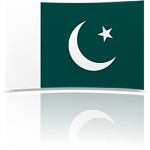 Pakistan 8 x 12 Mini Flag