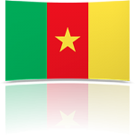 Cameroon Indoor Flag - Fringed or Unfringed